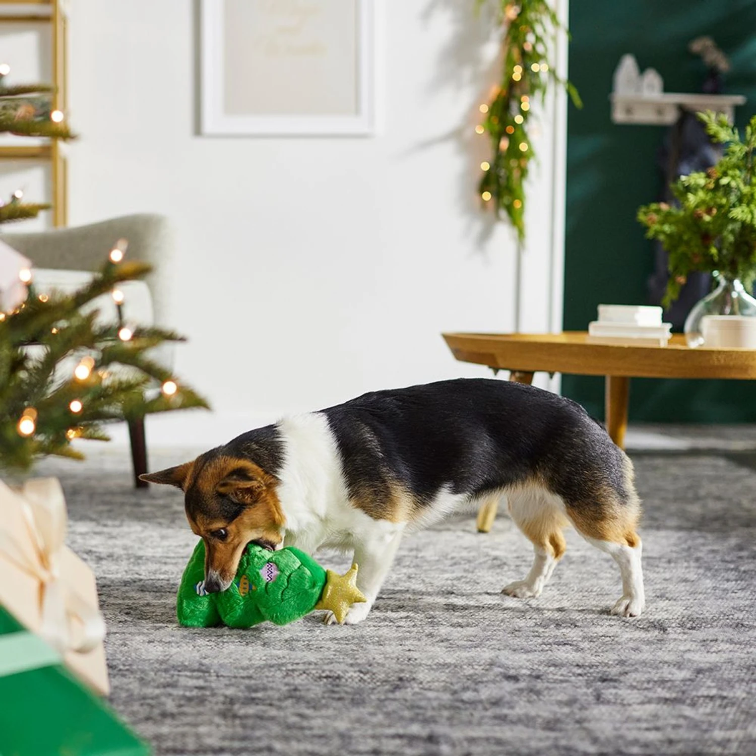 Frisco Holiday Santa's Helpers Plush Squeaky Dog Toy, 3 Count & Frisco Holiday Tree Thin Plush Squeaky Dog Toy 3 Frisco Holiday Santa's Helpers Plush Squeaky Dog Toy, 3 Count & Frisco Holiday Tree Thin Plush Squeaky Dog Toy - Image 3