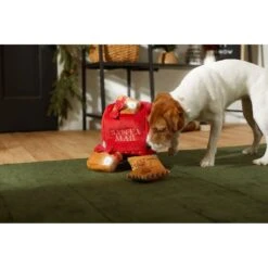 Frisco Holiday House Hide & Seek Puzzle Plush Squeaky Dog Toy & Frisco Holiday North Pole Mailbox Hide & Seek Puzzle Plush Squeaky Dog Toy -PetSafe Kong Shop 986286 PT8. AC SS1800 V1698258055