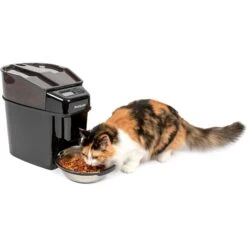 PetSafe Healthy Pet Simply Feed Programmable Dog & Cat Feeder
