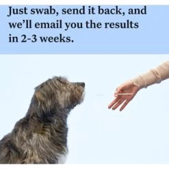 Wisdom Panel Breed Discovery Breed Identification DNA Test For Dogs -PetSafe Kong Shop 99678 PT4. AC SS1800 V1679065377