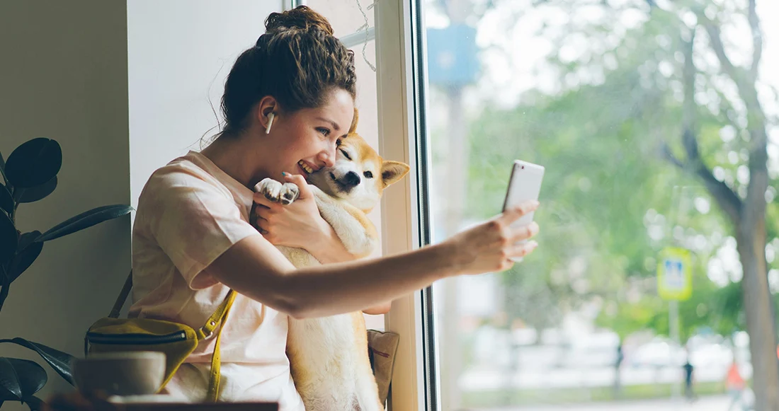 PetSafe Kong Shop -PetSafe Kong Shop dog tech